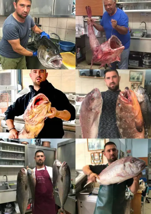 people fish collage