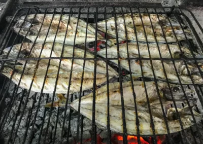 photo with fish various fish grill thassos fish and grill thassos